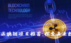 2023年新兴区块链项目推荐：探索未来数字资产革