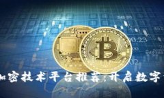 ## 区块链加密技术平台推荐：开启数字资产的新