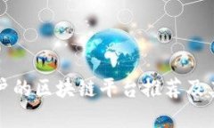 最适合用户的区块链平台推荐及其详细分析