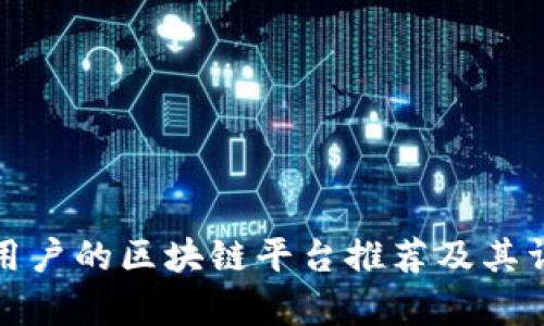 最适合用户的区块链平台推荐及其详细分析