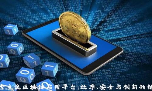 
探索主流区块链应用平台：效率、安全与创新的结合