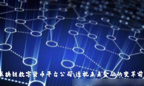  区块链数字货币平台公司：透视未来金融的变革前沿