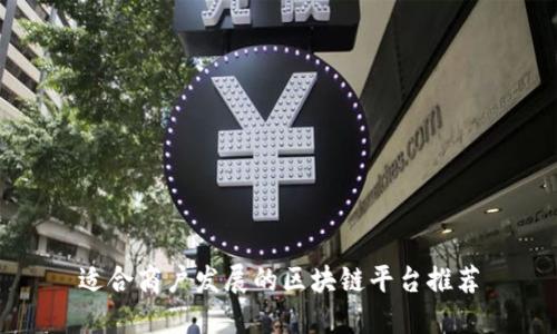适合商户发展的区块链平台推荐